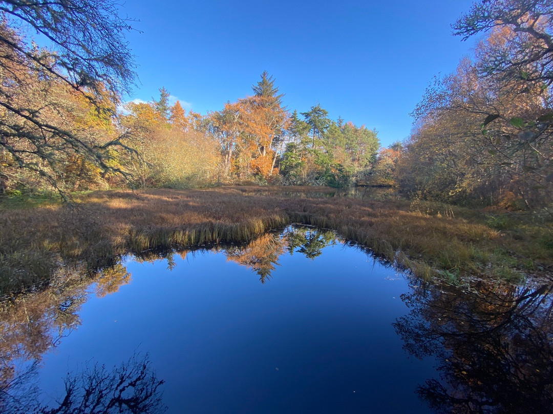 Big Burn Walk-Golspie必去景点