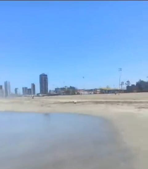 Playa Brava-伊基克必去景点