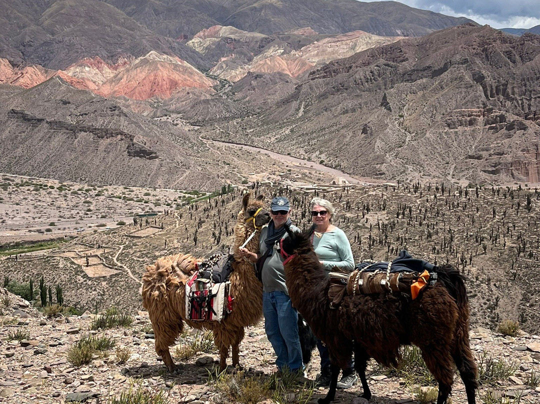 Caravana de Llamas-蒂尔卡拉必去景点
