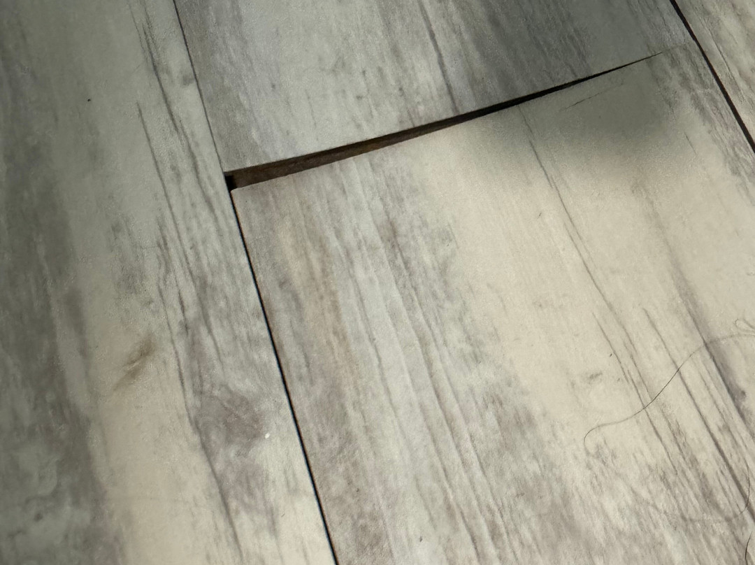 Best Western Bordentown Inn主图