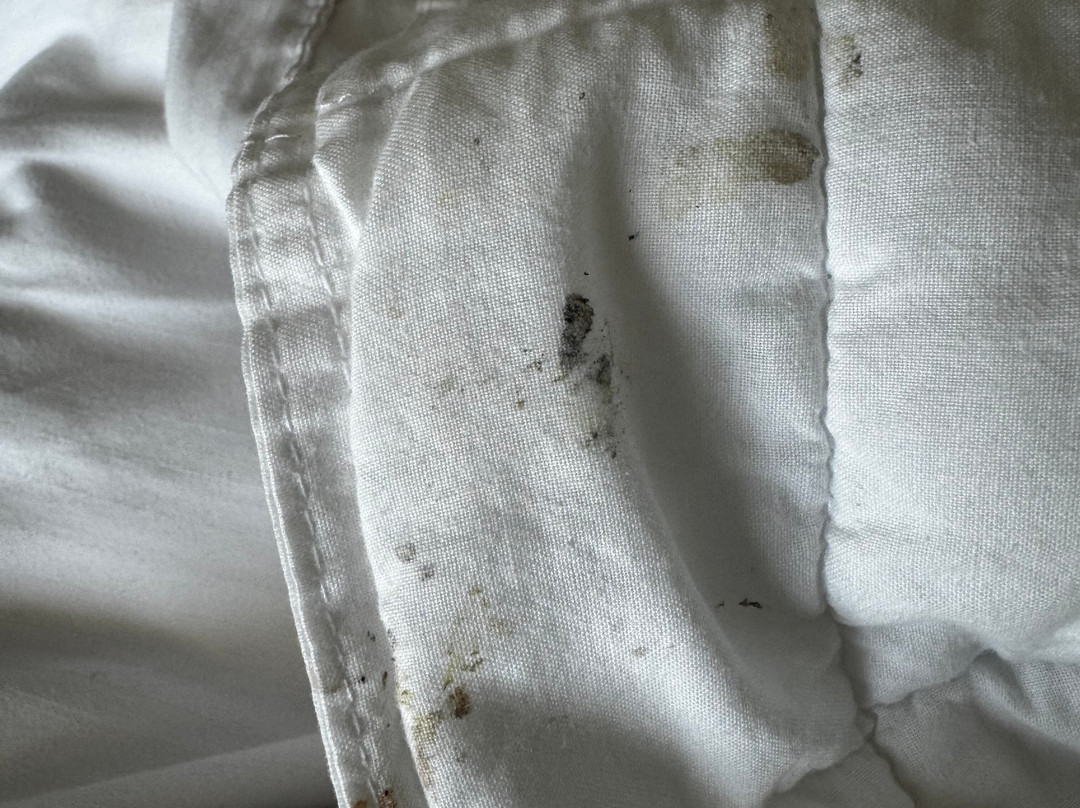 NH Monterrey La Fe主图