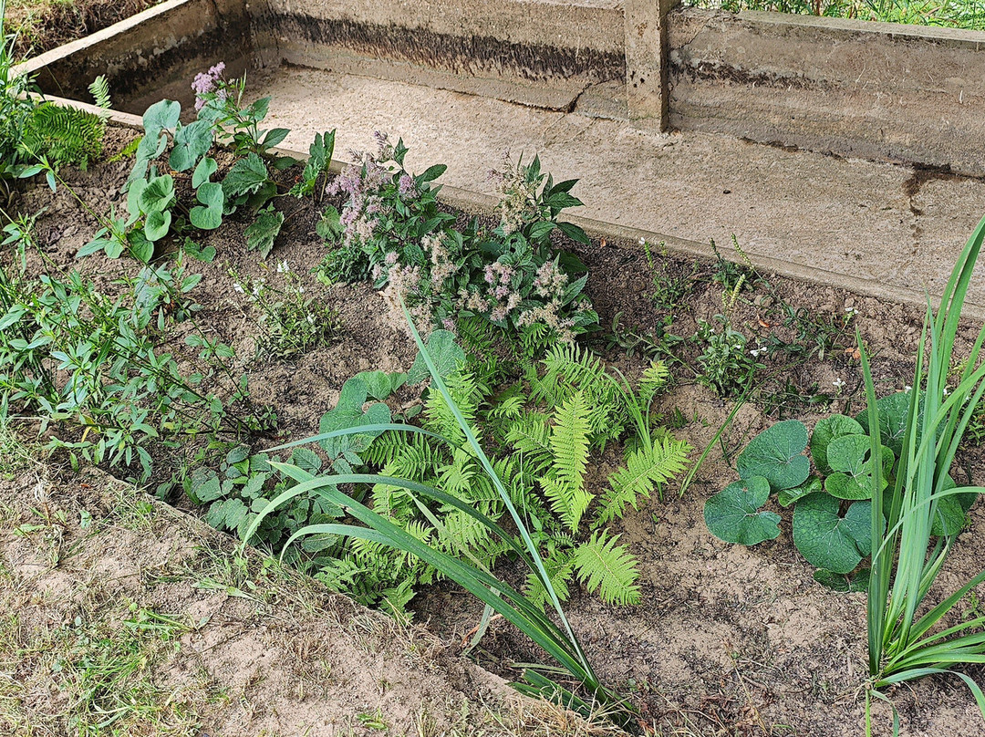 Lavoir de Saint-Martial-d'Albarède