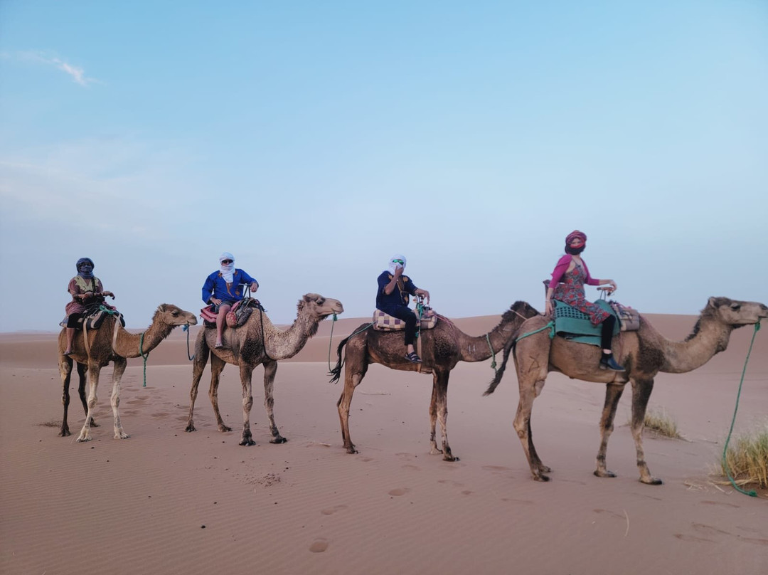 Desert Unlimited Morocco - Day Tours-瓦尔扎扎特必去景点