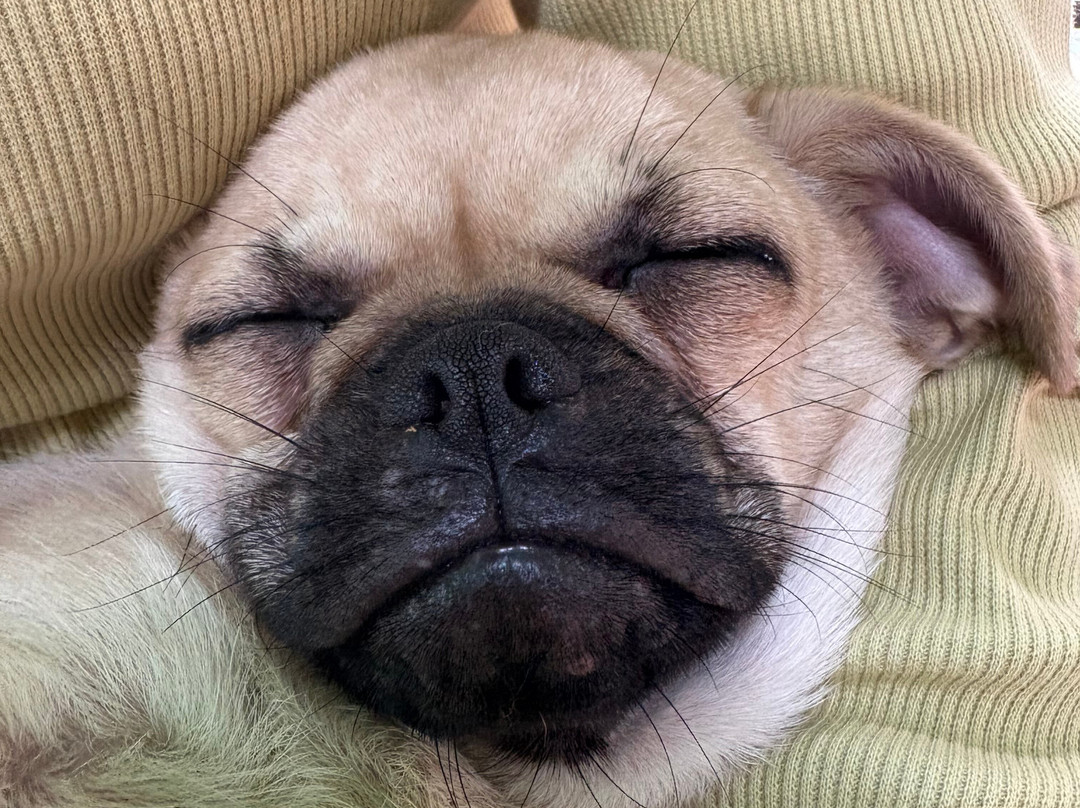 名护Neo自然动植物公园-名护市必去景点