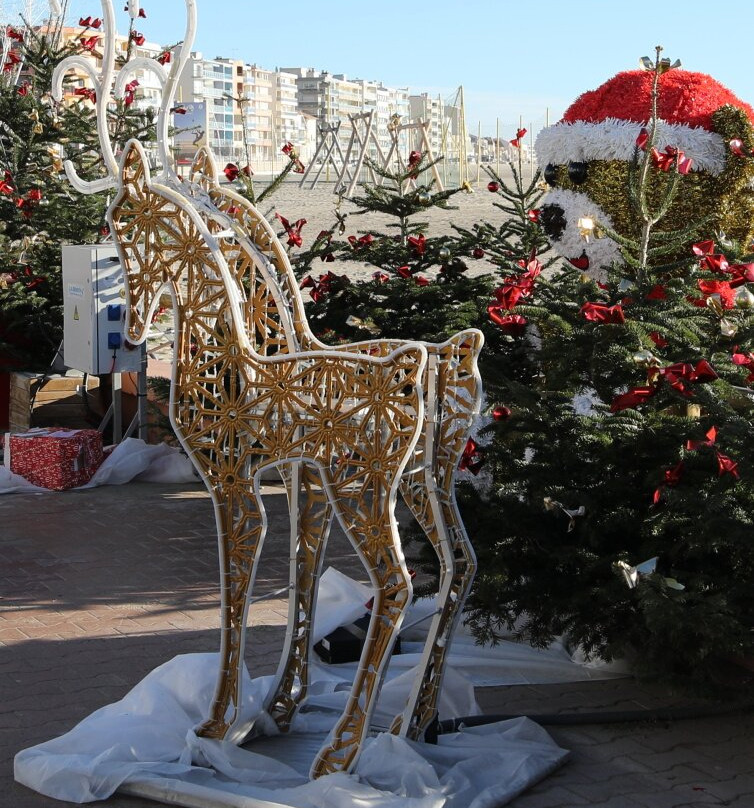 Office de Tourisme & Centre des Congrès de Palavas-les-Flots-帕拉瓦莱弗洛必去景点