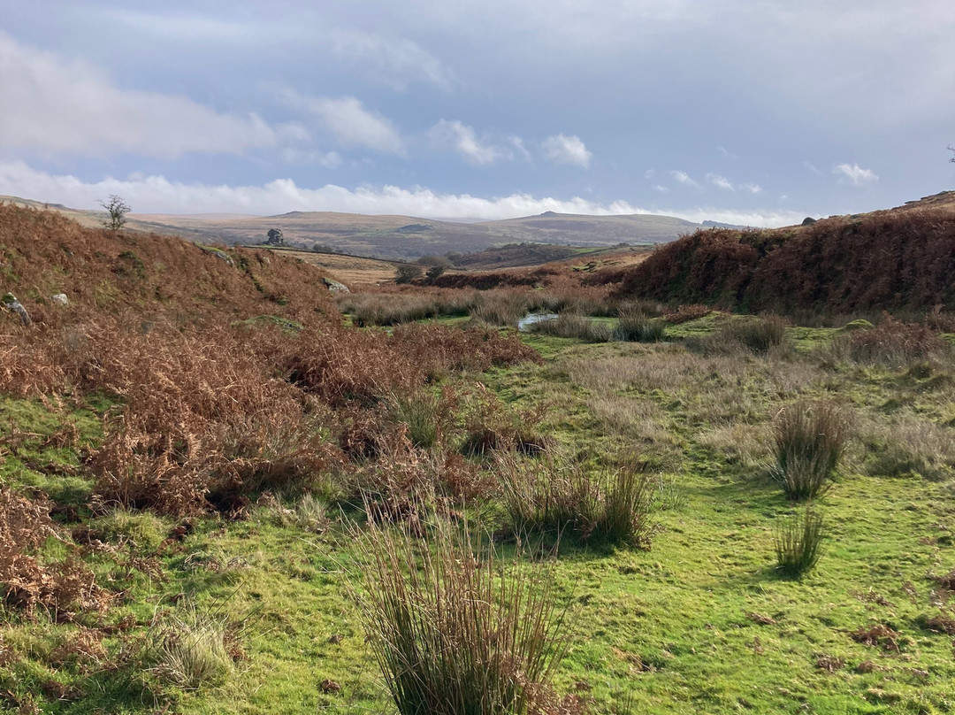 Dartmoor's Daughter-达特穆尔国家公园必去景点