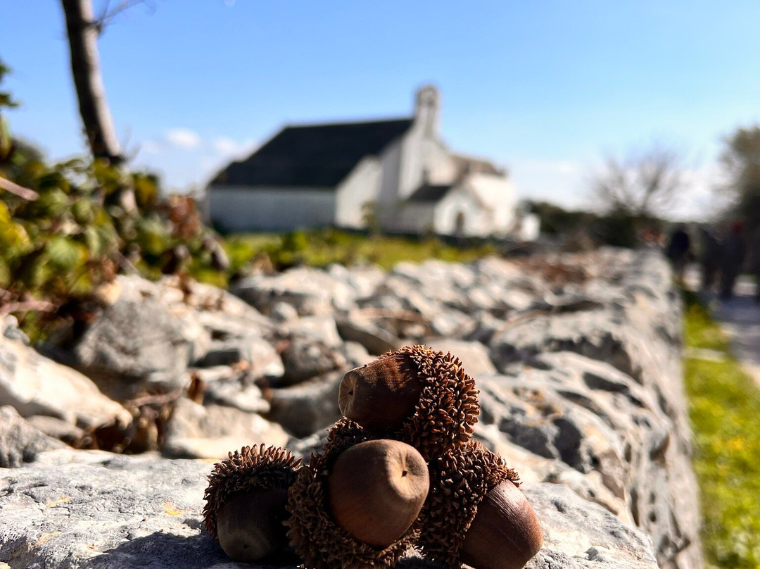 Quad Experience and Emotion-阿尔贝罗贝洛必去景点