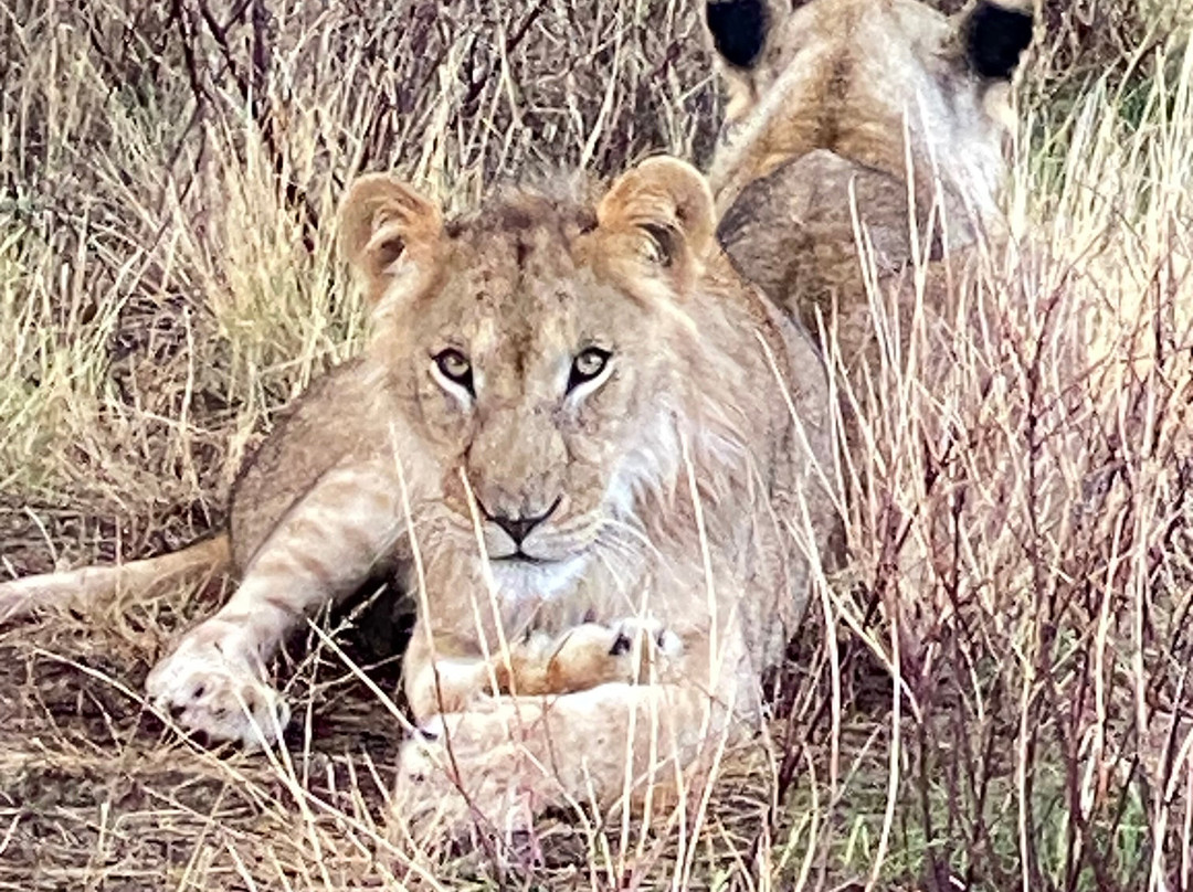 Aqua Paradise Safaris Day Tours-乌库达必去景点