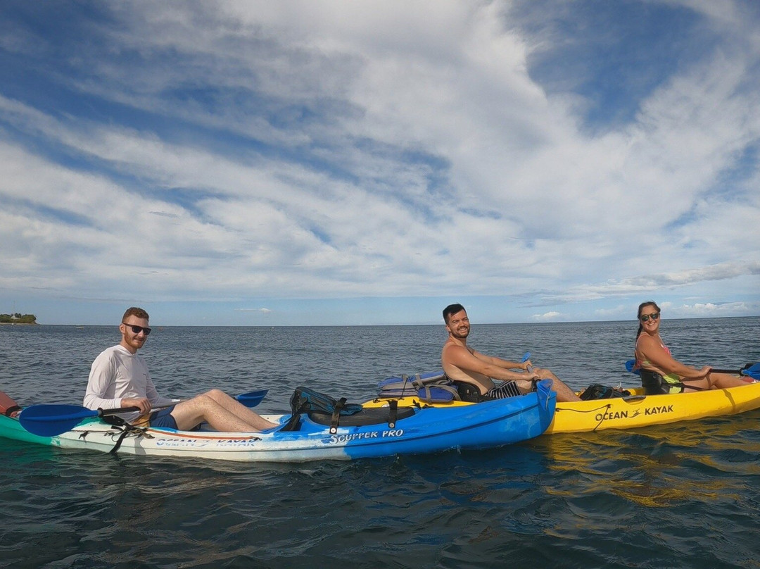 Hawai'i Surf and Kayak-普阿克必去景点