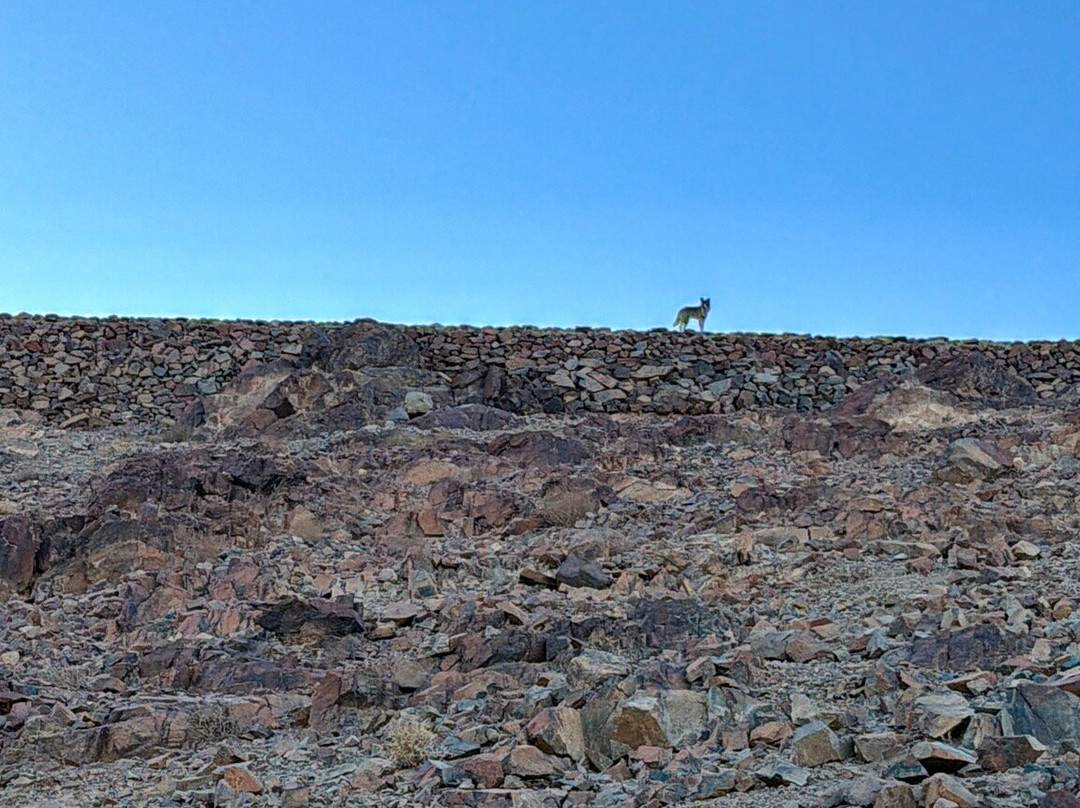 Sinai Hikes-圣卡特琳娜地区必去景点