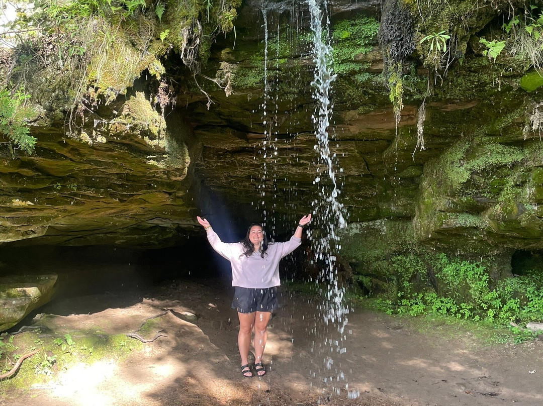 Scott Falls-缪尼辛必去景点