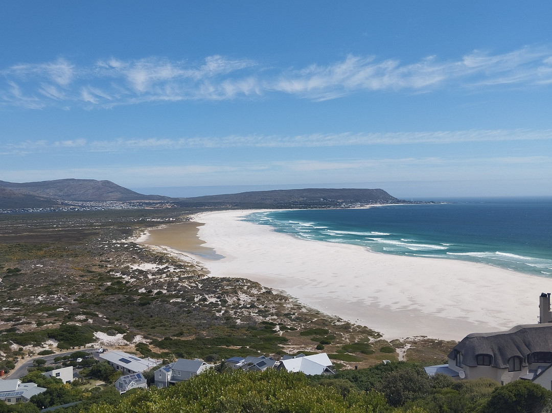 Raw Tours Cape Town-开普敦中心区必去景点