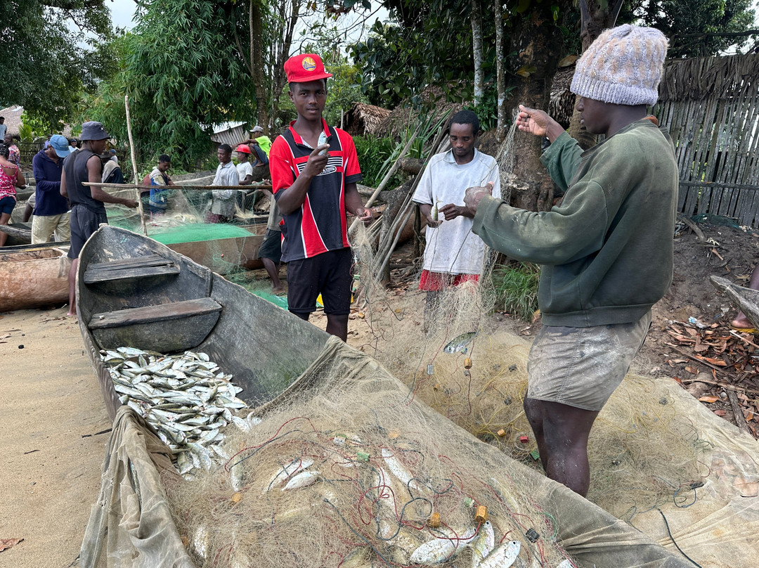 Masoala National Park-Maroantsetra必去景点