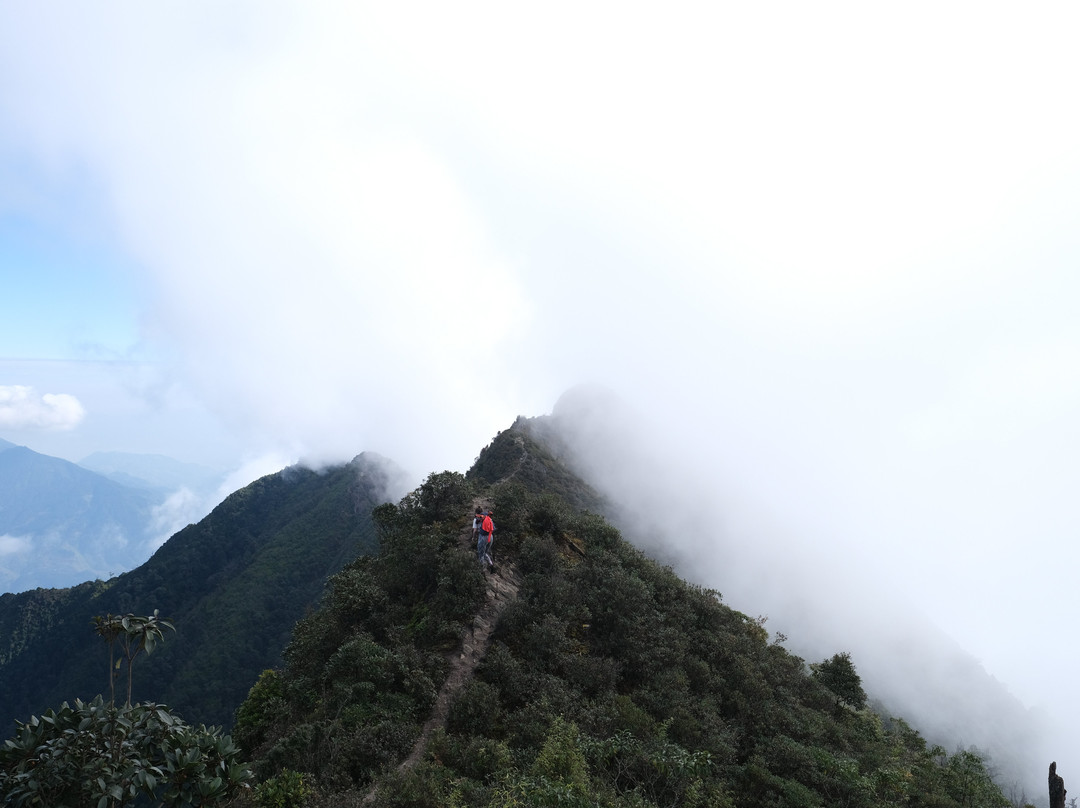 Zonitrip - Day Tours-Yen Bai必去景点