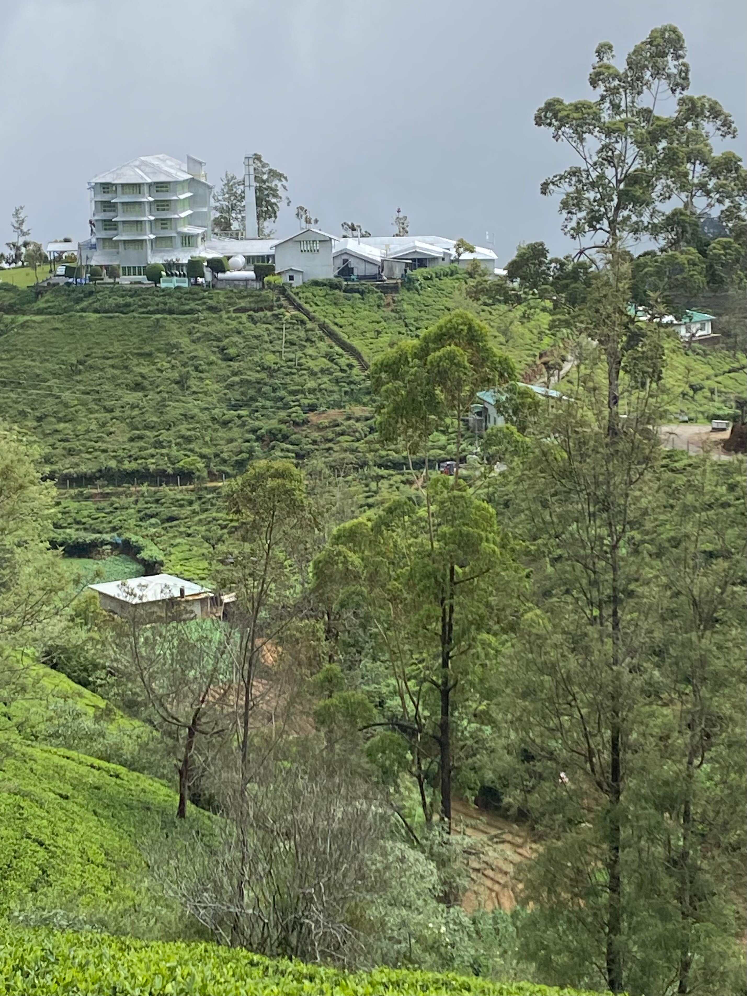 遗产茶厂酒店-官方