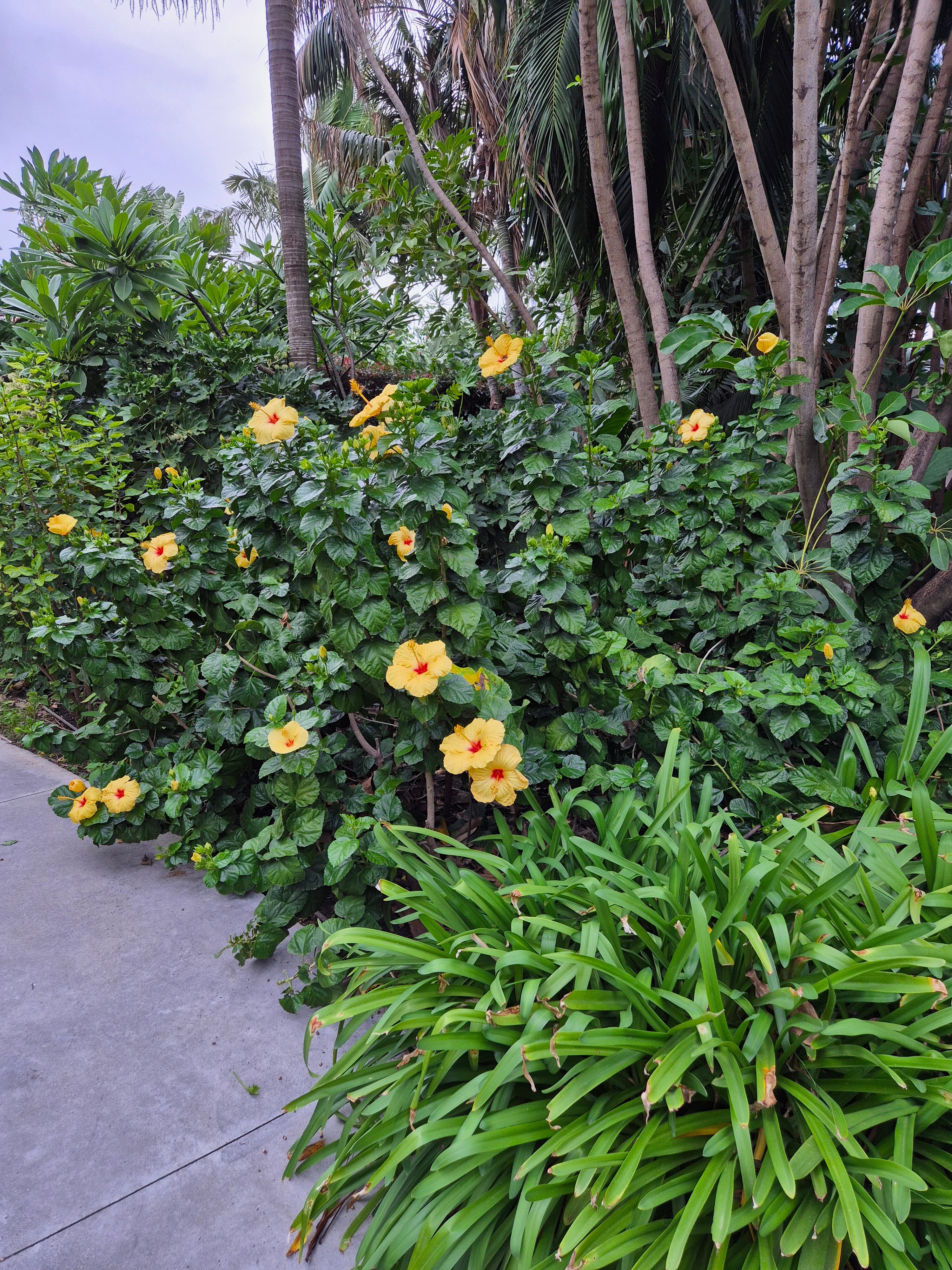 Donna Carmela Resort & Lodges-浴室