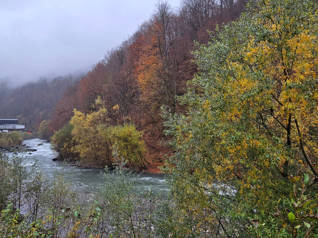 River Mzymta-艾德勒必去景点