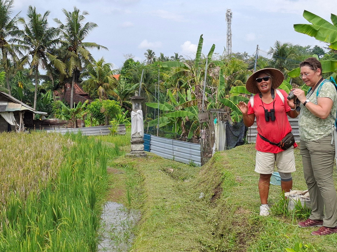 Bali Bird Walks-乌布必去景点