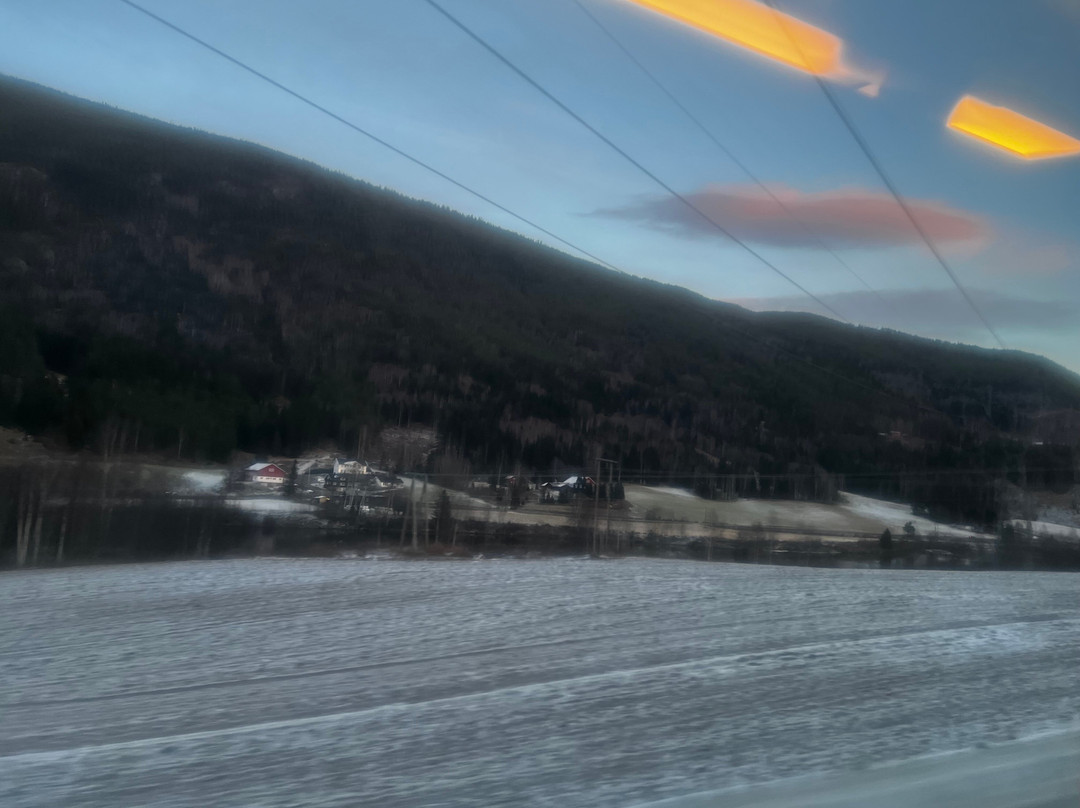 Bergen to Oslo Train Ride-卑尔根必去景点