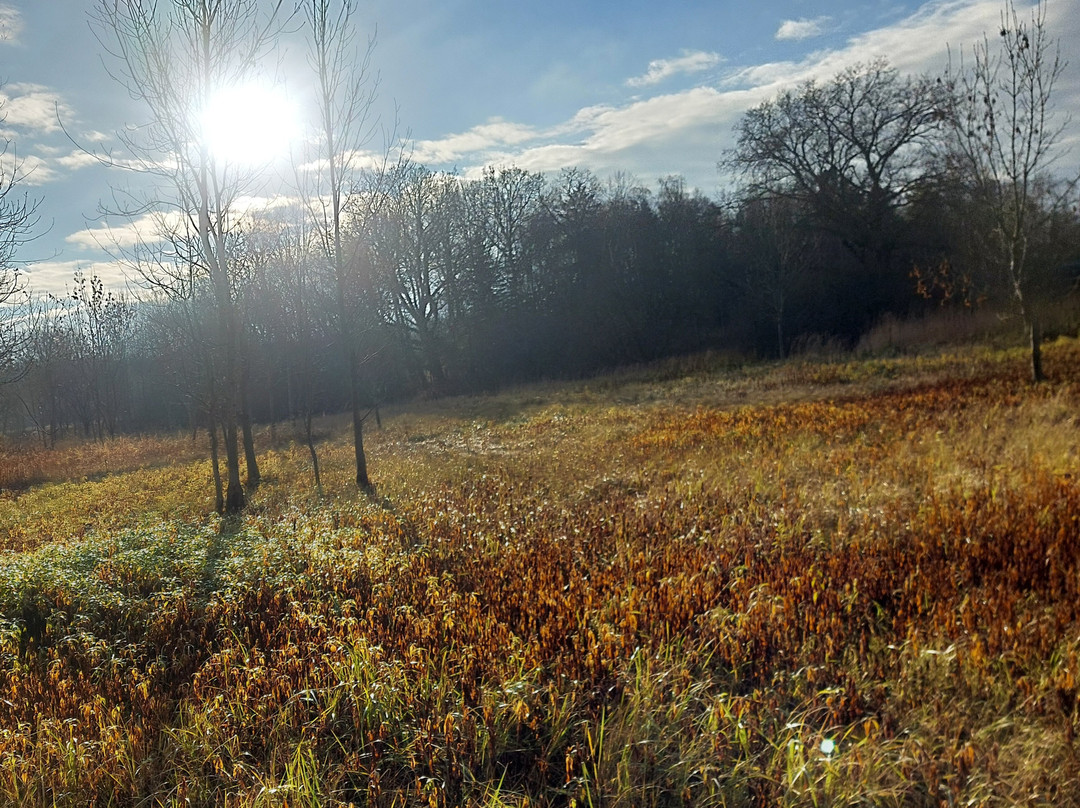 CPH:RIDE-德拉厄必去景点