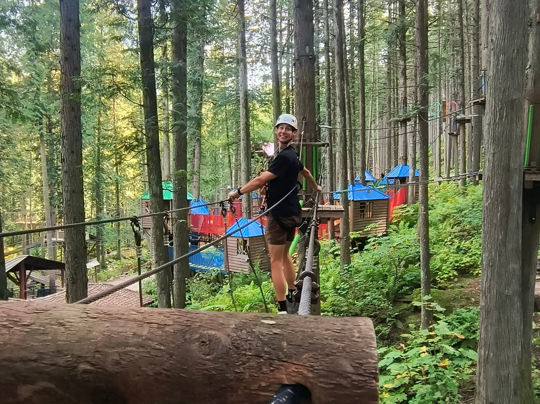 Skytrek Adventure Park-雷夫尔斯托克必去景点