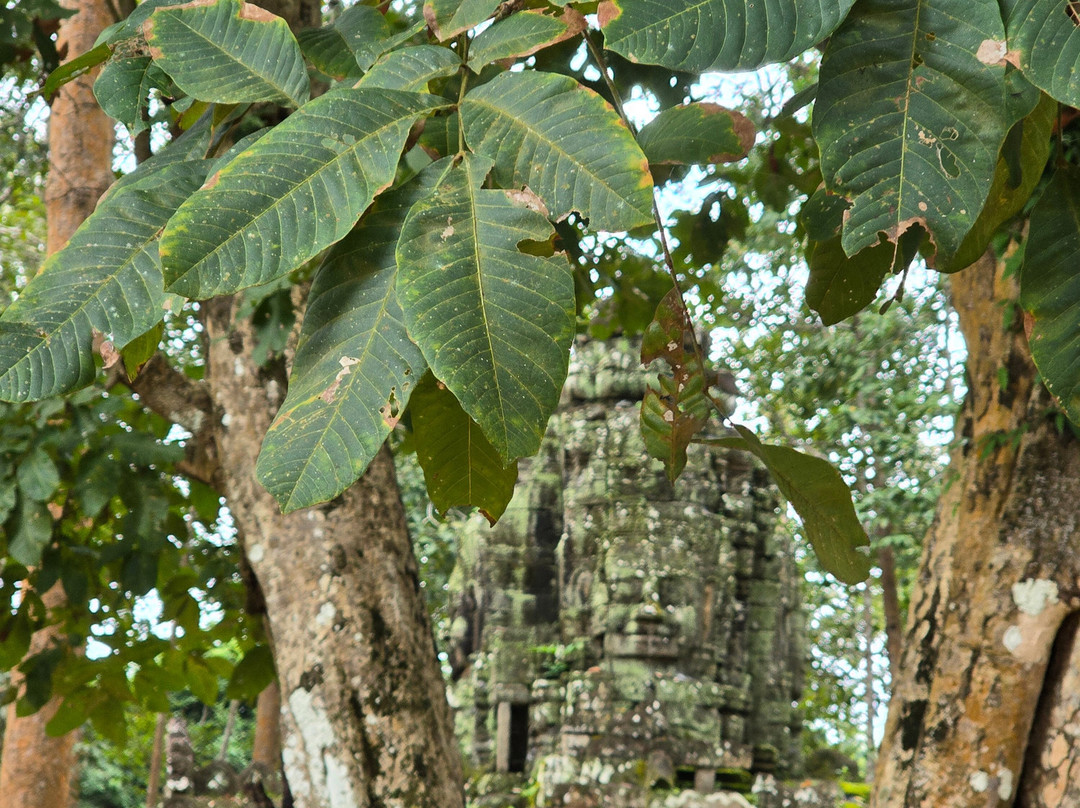 Vietnam Dragon Travel-河内必去景点