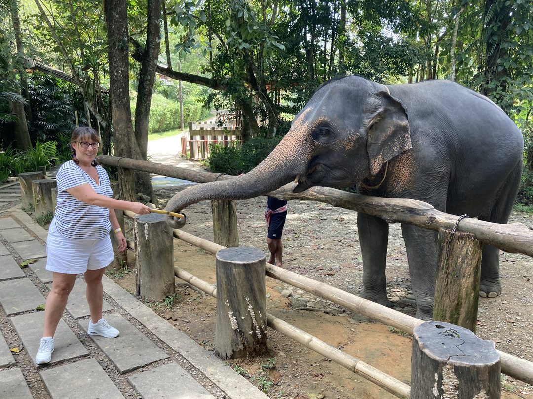 Phang Nga Elephant Park-攀牙必去景点