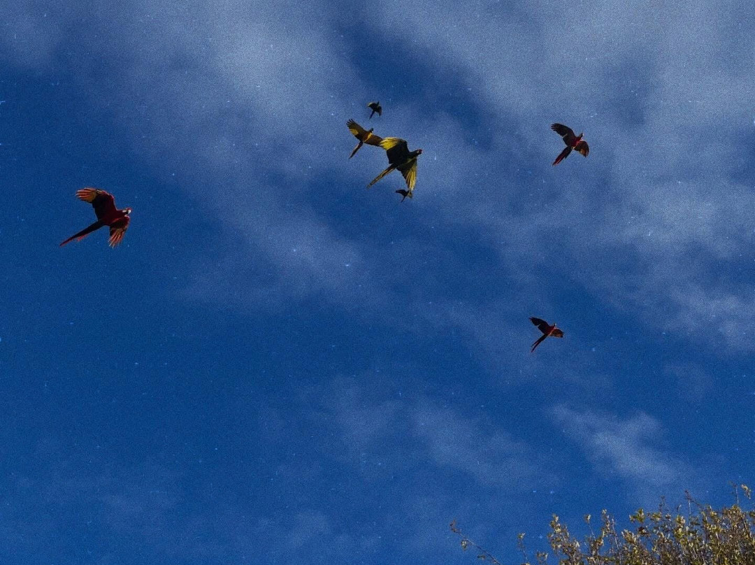 Wild Zoological Park-Bobbington必去景点