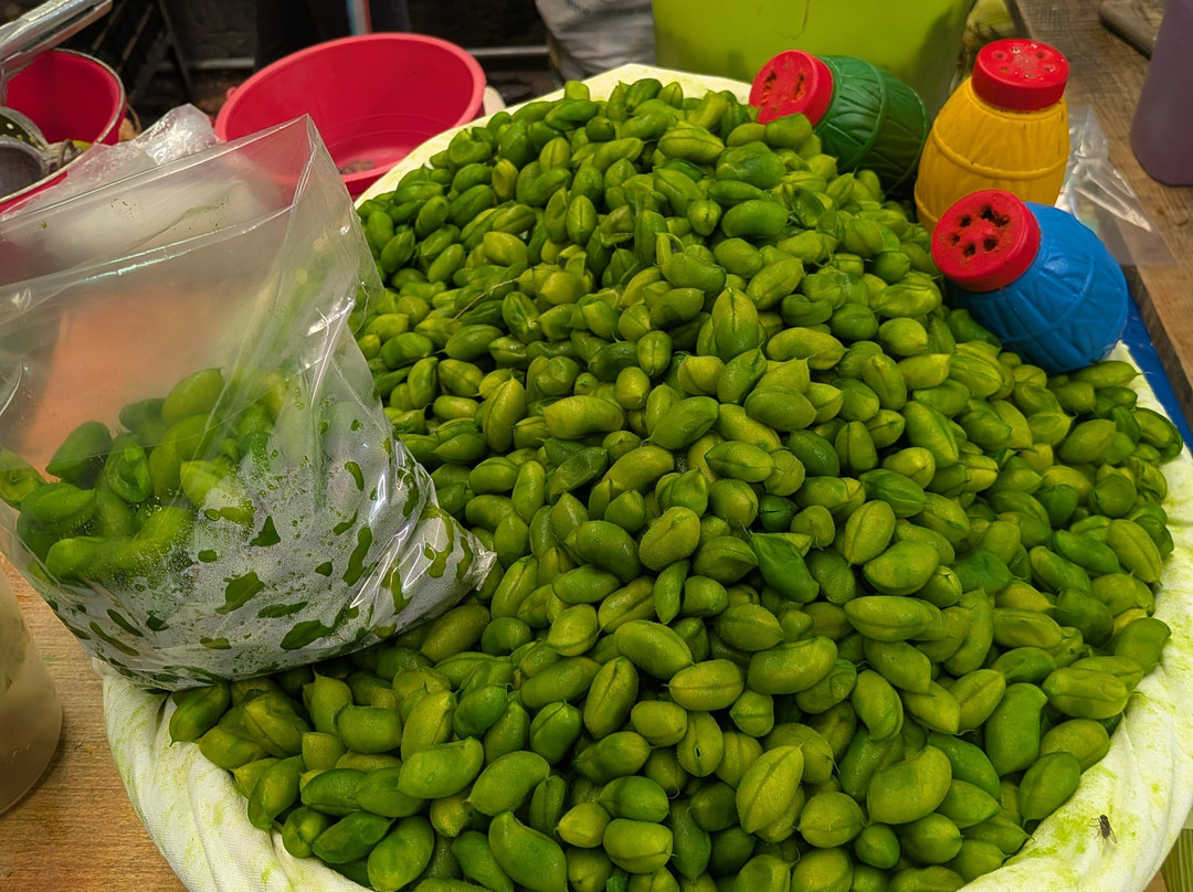 Sazon-圣米格尔护城必去景点