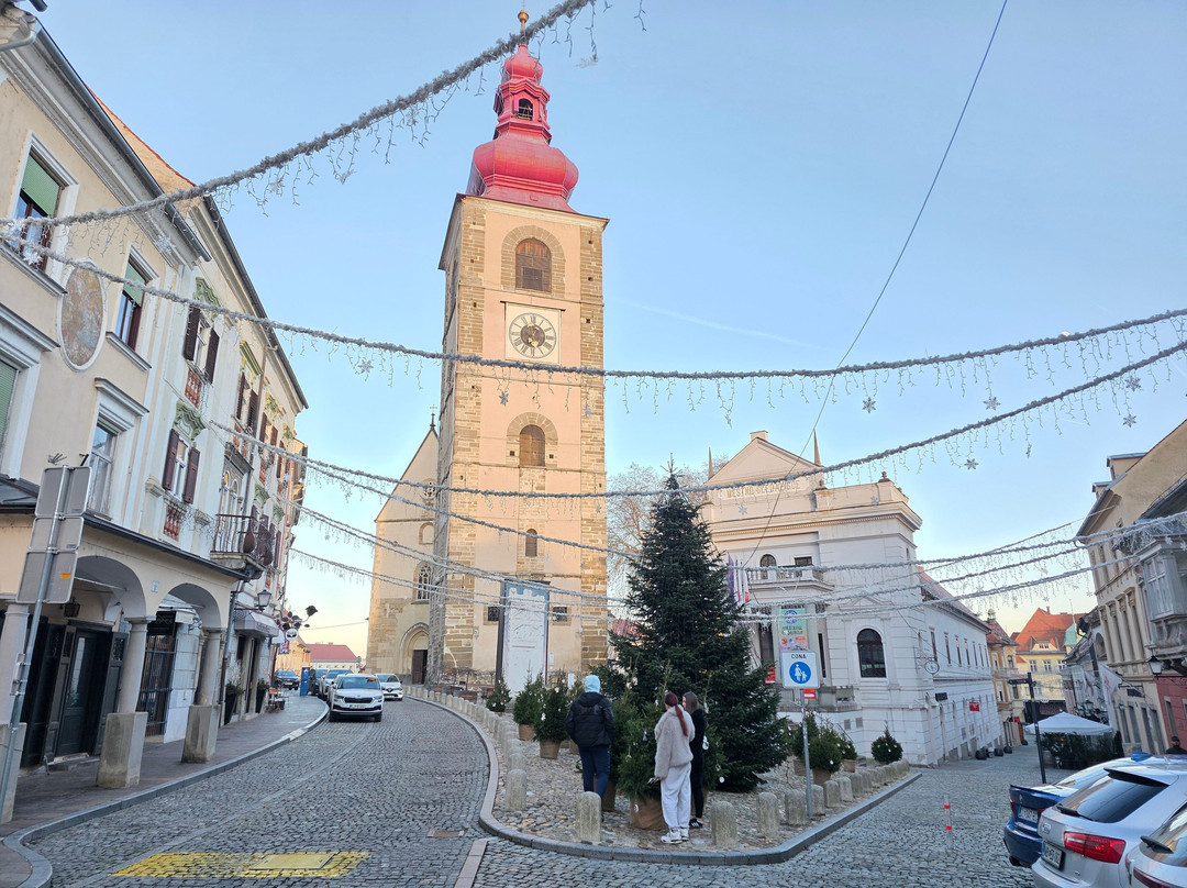 Ptuj City Tower-普图伊必去景点