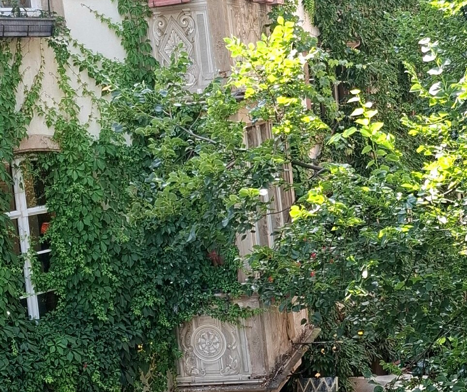 Musée de l'Œuvre Notre-Dame-斯特拉斯堡必去景点