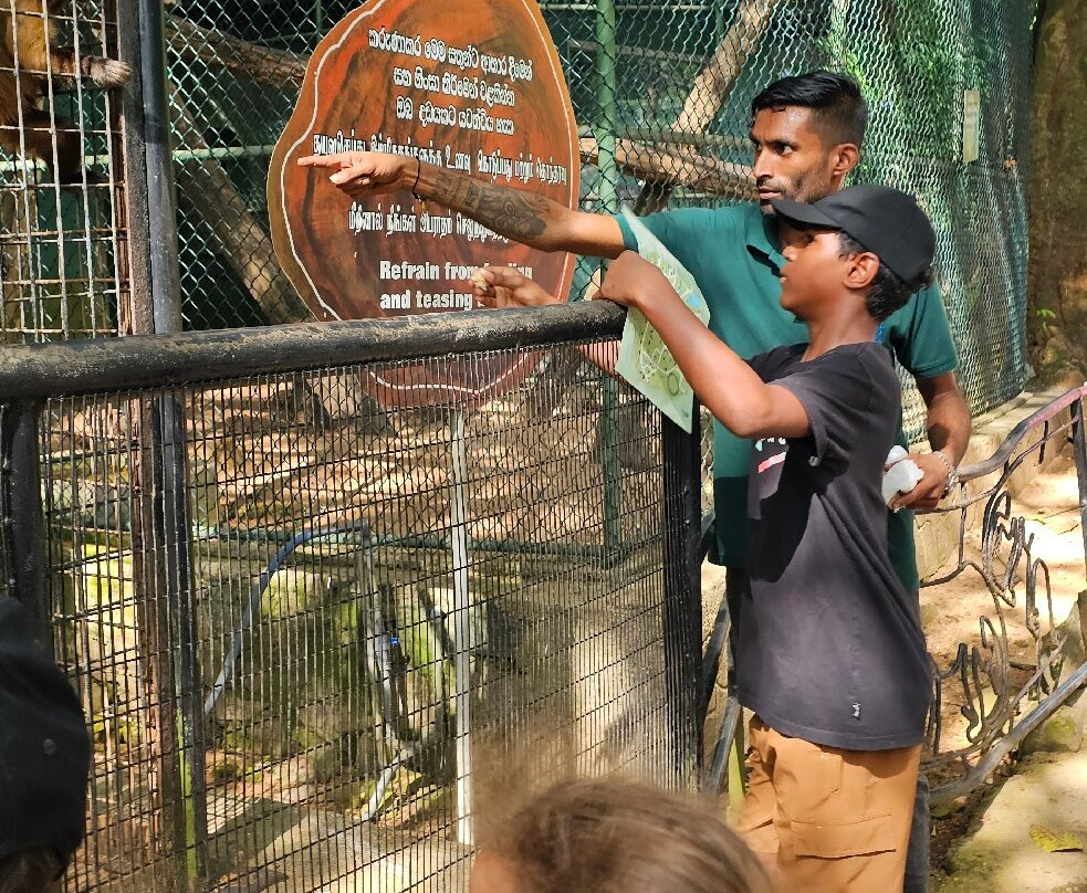 National Zoological Gardens of Sri Lanka-拉非尼亚山必去景点