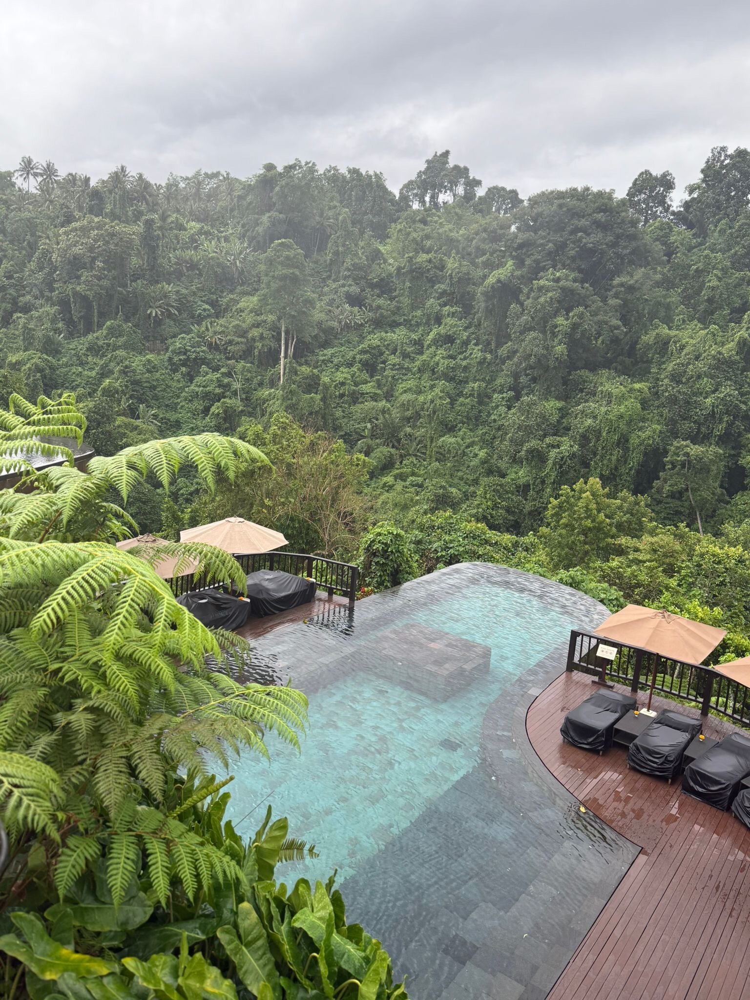 乌布哈瑞花园酒店-官方