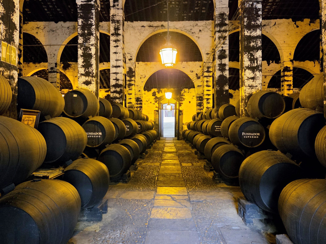Bodegas Fundador-赫雷斯德拉弗隆特拉必去景点