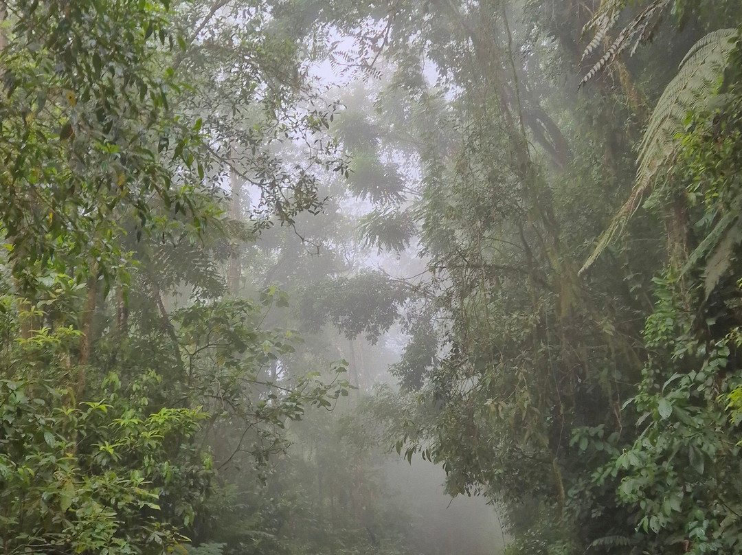 Dagami Tour Ilhabela-伊利亚贝拉必去景点