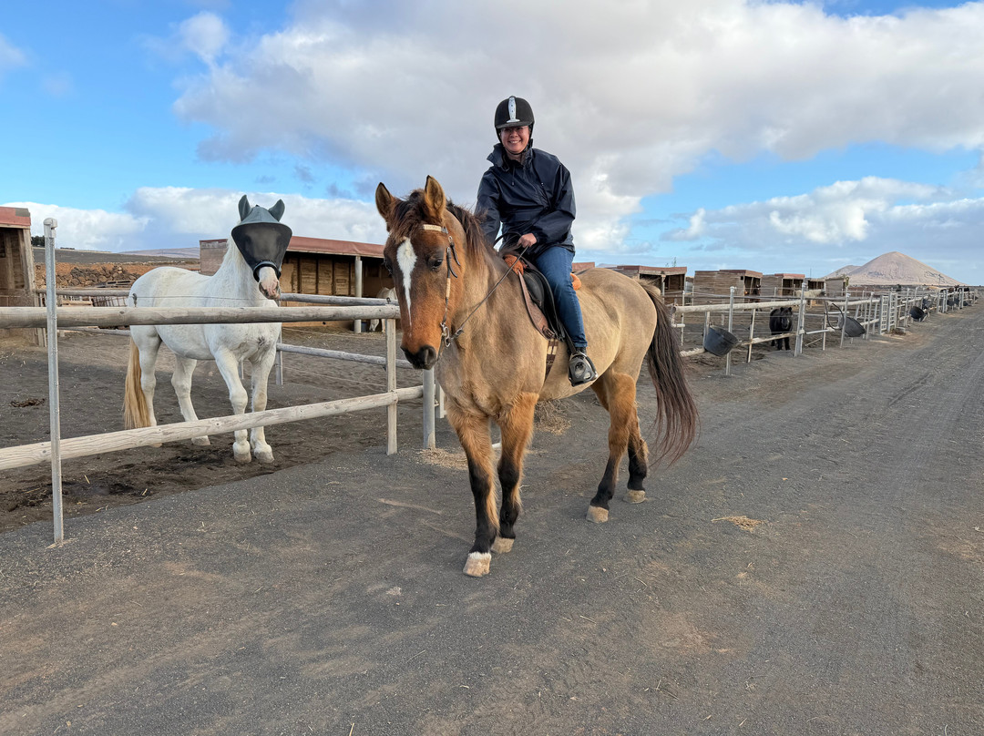 Horses Lanzarote-Teseguite必去景点