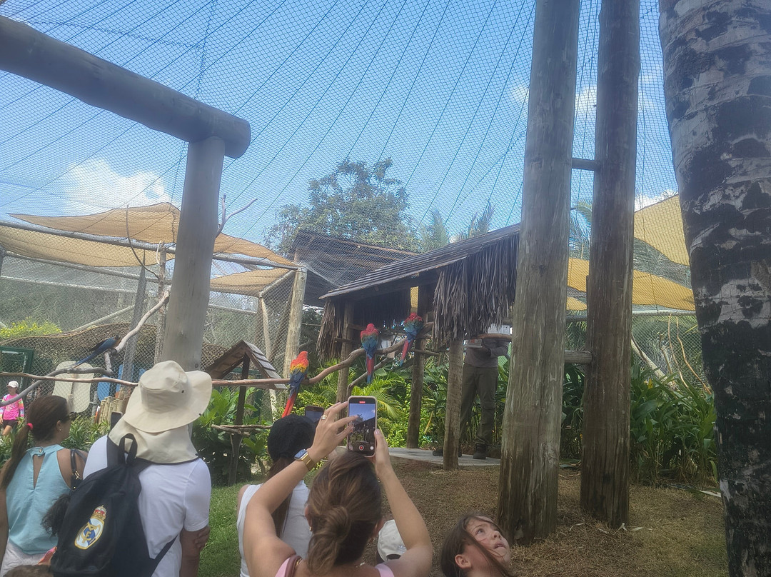 Parque Arvorar-Aquiraz必去景点