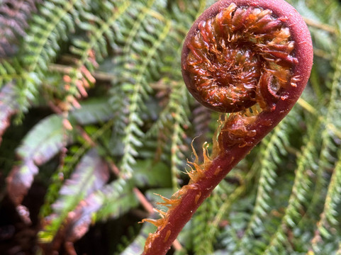 Aika Expeditions-Coyhaique必去景点