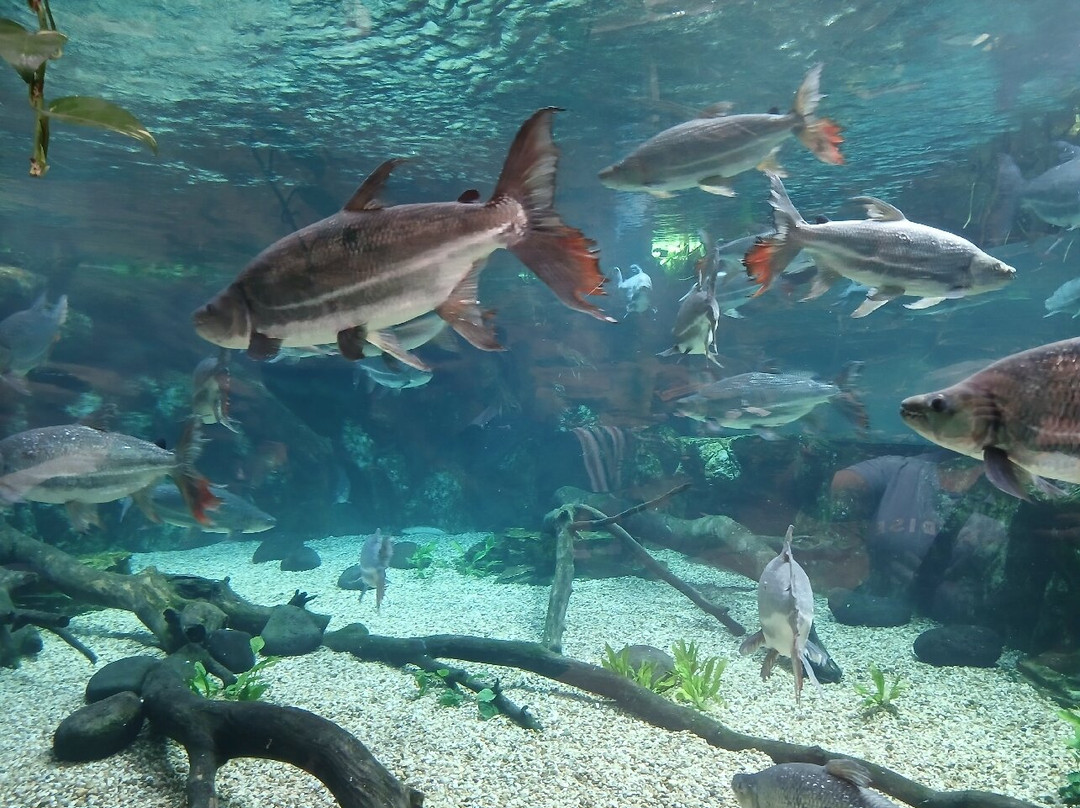 Poema Del Mar-大加那利岛拉斯帕尔马斯必去景点