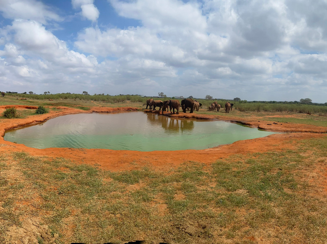 Mufasa Tours and Travels-内罗毕必去景点