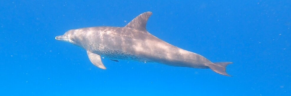 Ayoub Zanzibar Tour-Kigomani必去景点