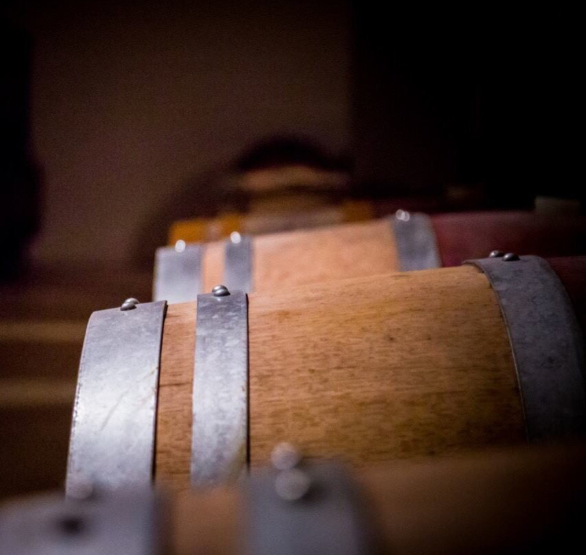 卡尔米尼亚诺旅游景点-Fabrizio Pratesi Winery