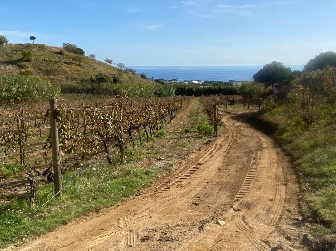 Alta Alella-Alella必去景点