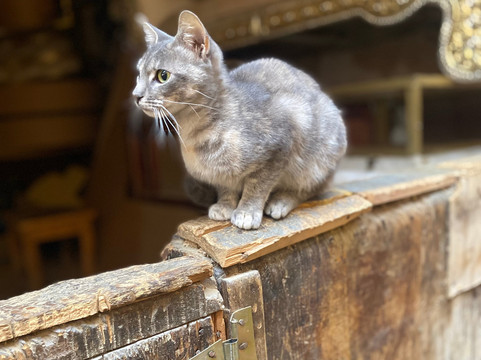 Fes Day Tours-非斯必去景点