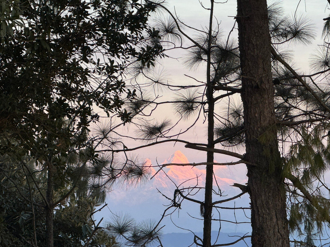 The Terraces Resort And Spa主图