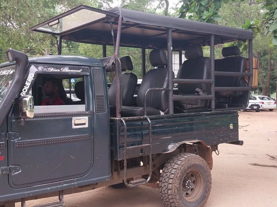 Udawalawe National Park Safari-乌达瓦拉瓦必去景点