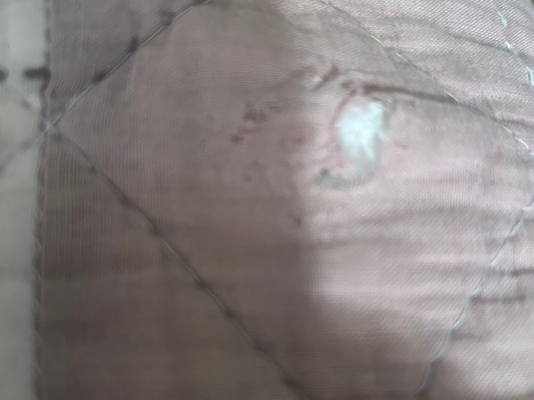 Hôtel la Grange de Marie主图