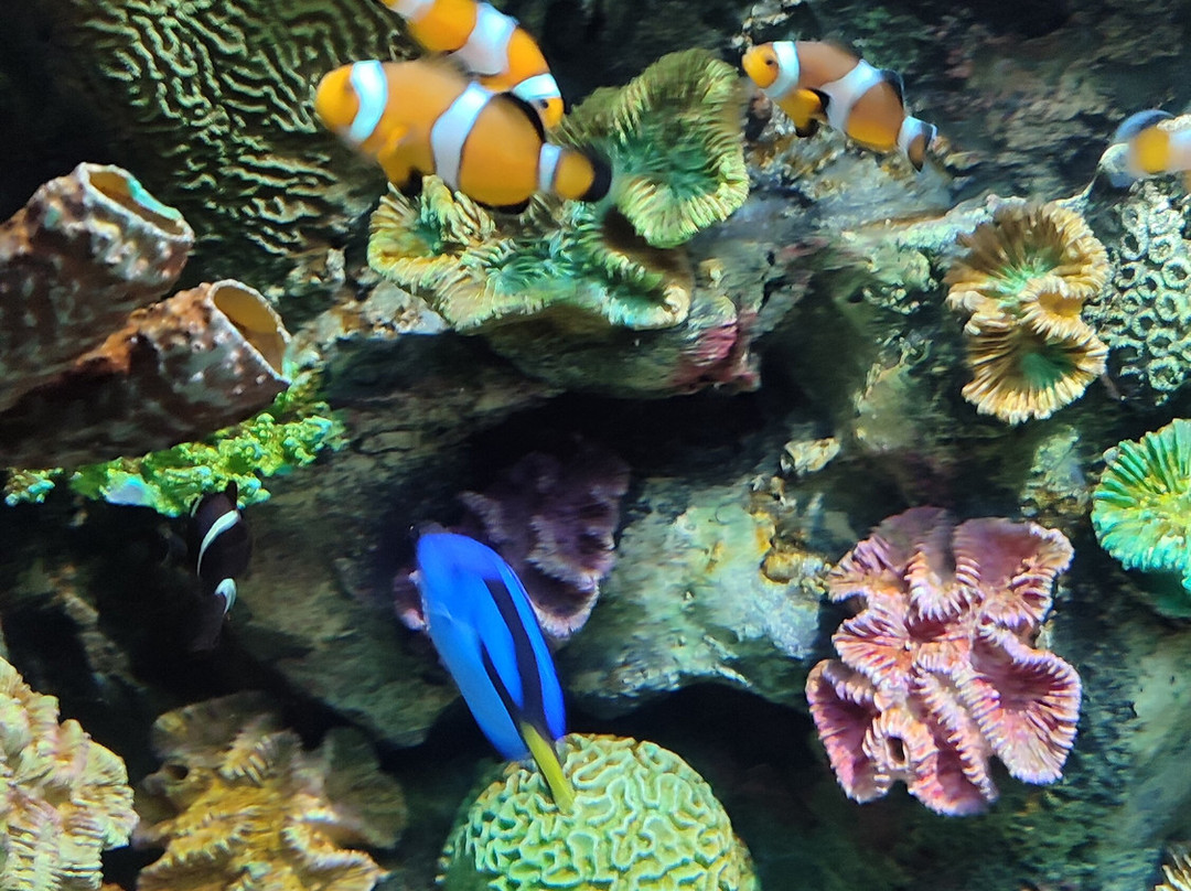 Acuario Michin Ciudad De Mexico-墨西哥城必去景点