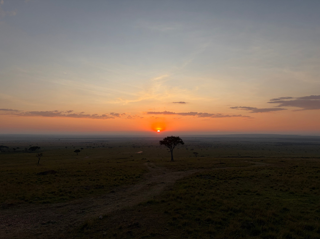 Oluokos Signature-基苏木必去景点