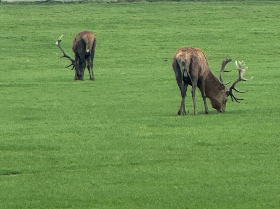 Wentworth Woodhouse-罗瑟勒姆必去景点